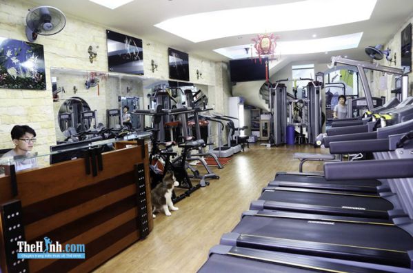 Phòng tập gym Ares Fitness Lê Văn Sỹ, Quận 3