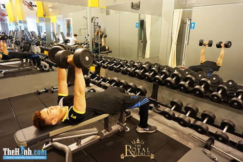 Phòng tập gym Royal Fitness, Bàu Cát 5, Quận Tân Bình