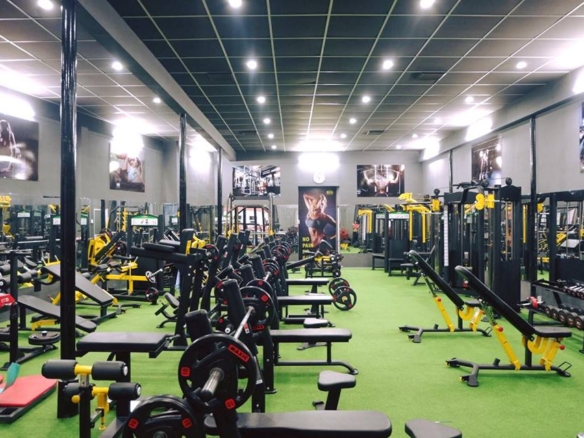 Phong-tap-gym-BIG-Bodybuilding-Fitness (1)