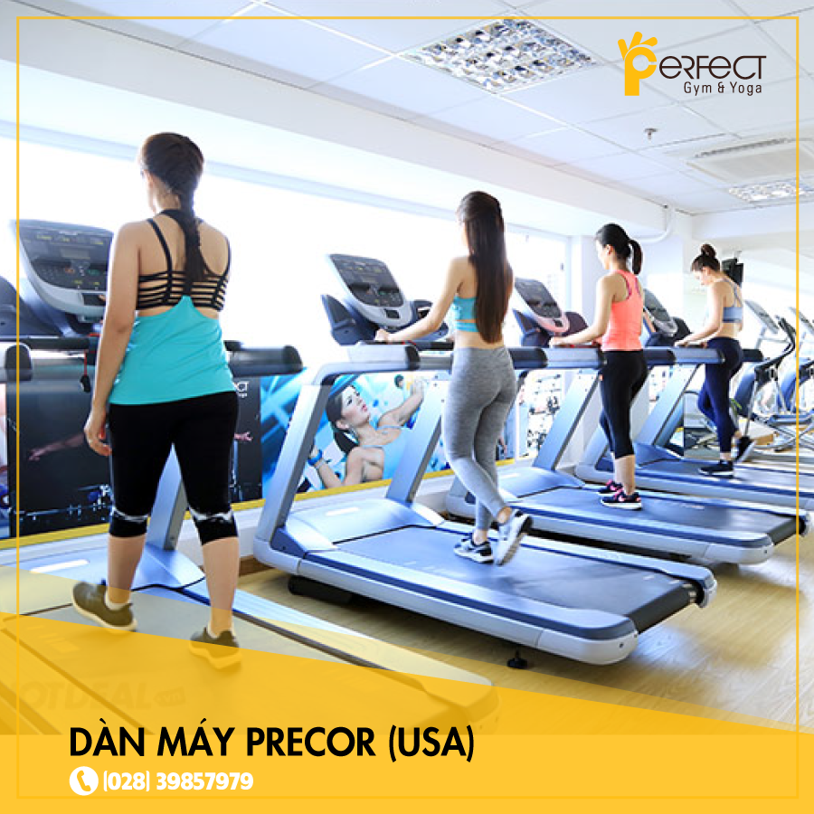 phong-tap-perfect-gym-and-yoga (1)