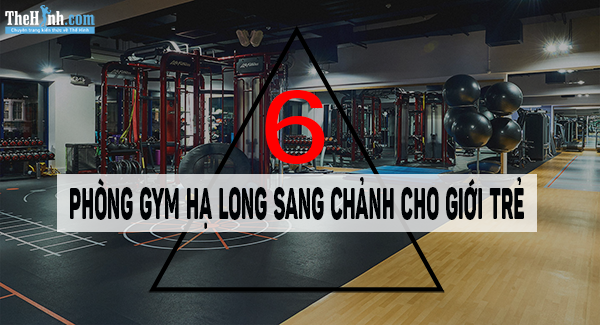 Tổng hợp phòng gym ở Hạ Long