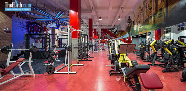 Tổng hợp phòng gym quận hoàn kiếm