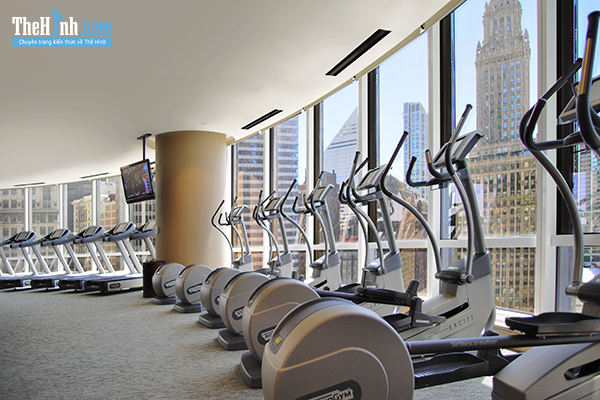 Tổng hợp phòng gym quận Thanh Xuân