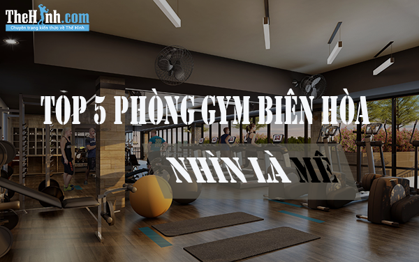 Tổng hợp phòng tập gym biên hòa