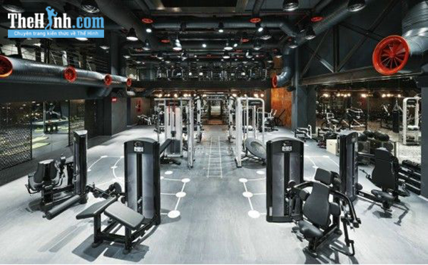 Tổng hợp phòng tập gym giá rẻ Nha Trang chất lượng nhất