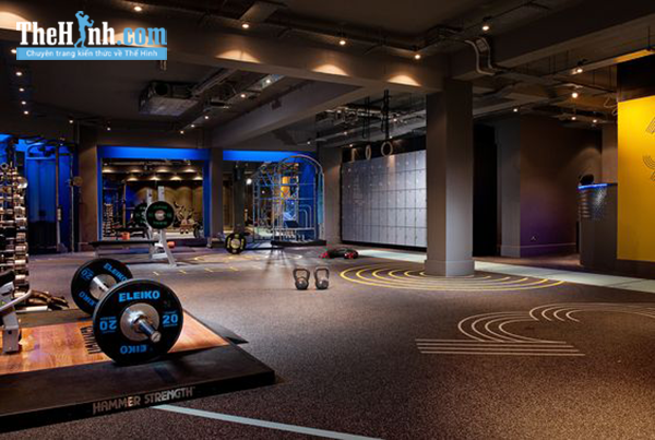 Danh sách phòng tập gym Quảng Ngãi tốt nhất